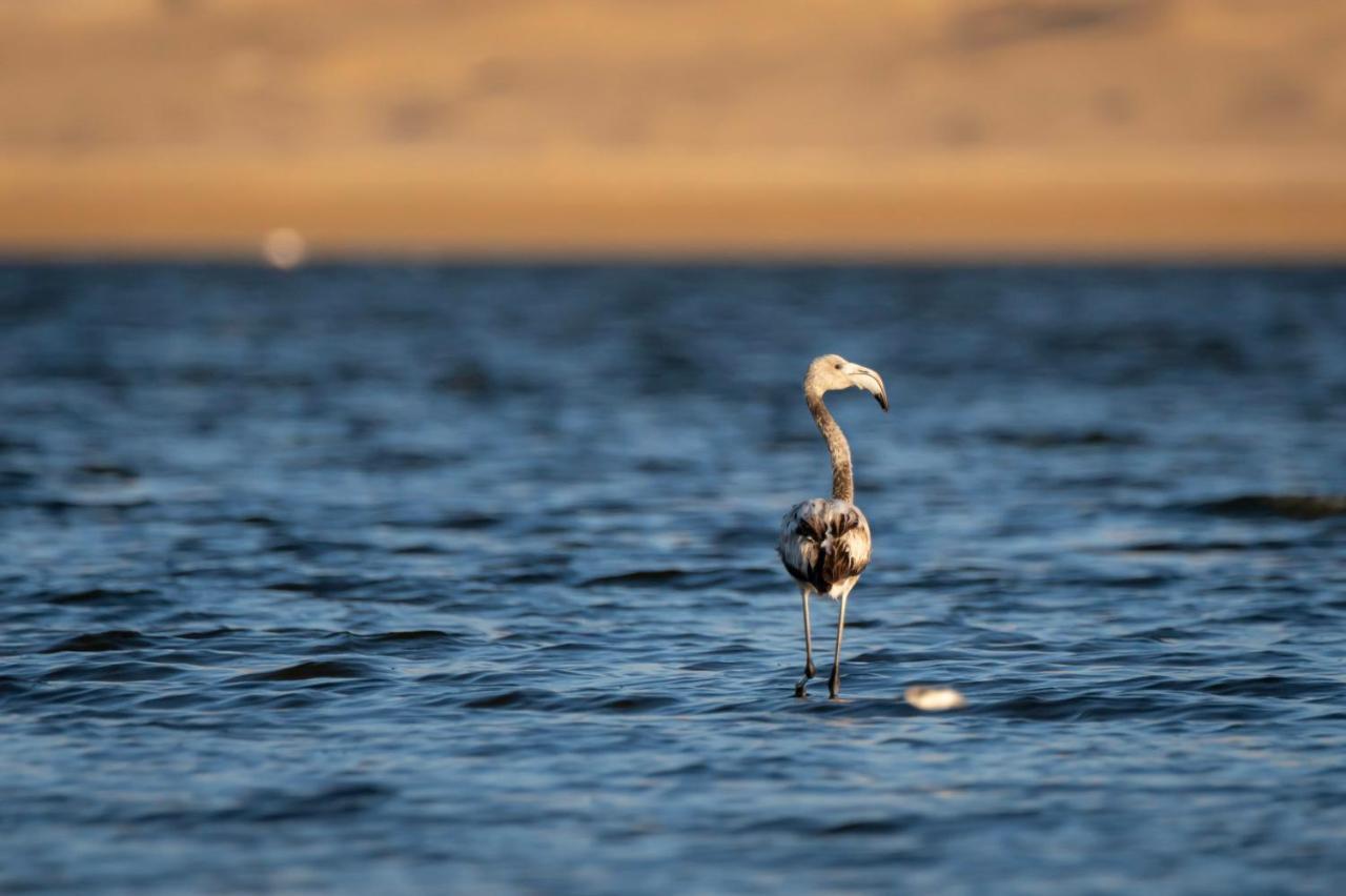 Northern Lake Lodge Izbat Ilyas ภายนอก รูปภาพ