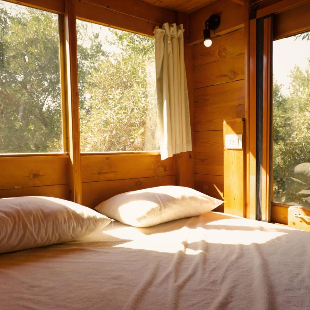 Northern Lake Lodge Izbat Ilyas ภายนอก รูปภาพ